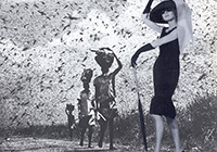 Joe Webb - Selected collages - image asset 3