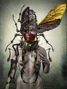 Kazuhiko Nakamura . “Beehive”